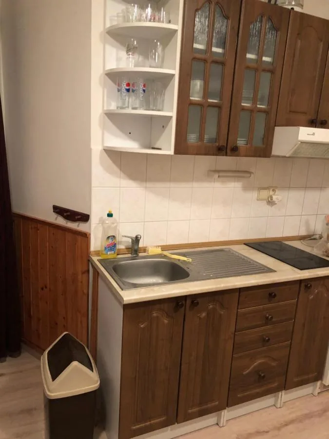 Kuchyňský kout v apartmánu ZAPART Harrachov